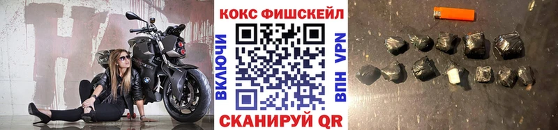 omg рабочий сайт  купить   Лесосибирск  Cocaine Fish Scale 