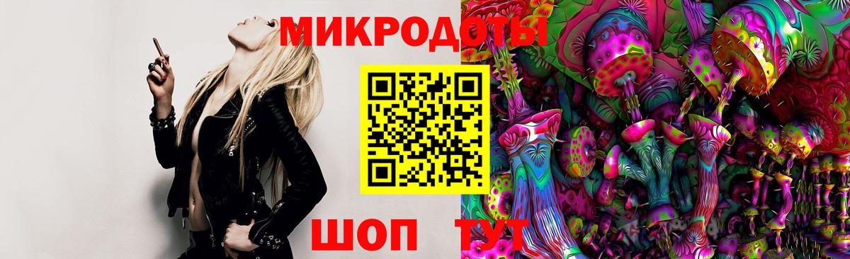 Псилоцибиновые грибы GOLDEN TEACHER Лесосибирск