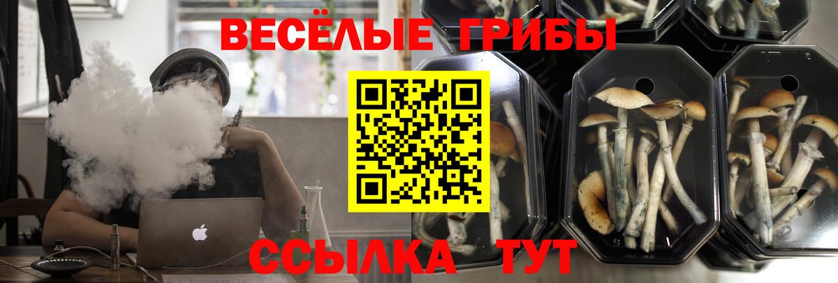 Галлюциногенные грибы прущие грибы  Псилоцибиновые грибы Magic Shrooms  Лесосибирск  Вход с VPN 